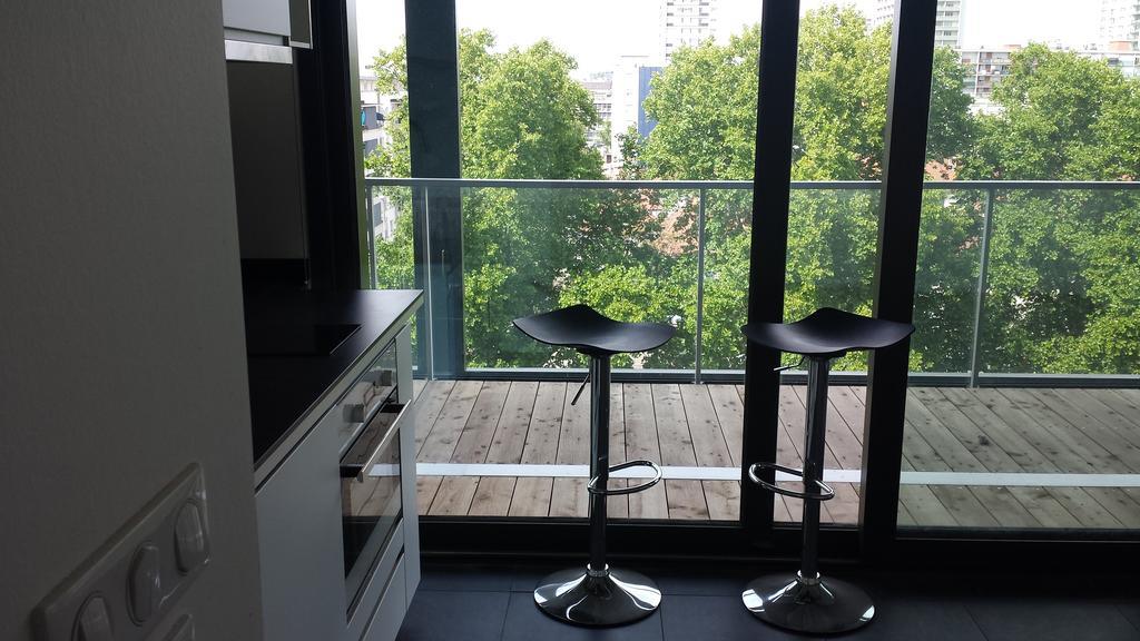 Studio Avec Terrace Docks Страсбург Екстериор снимка